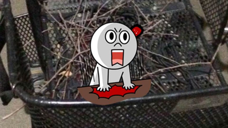 置物籃?垃圾桶?聰明鳥媽媽竟然這樣使用!