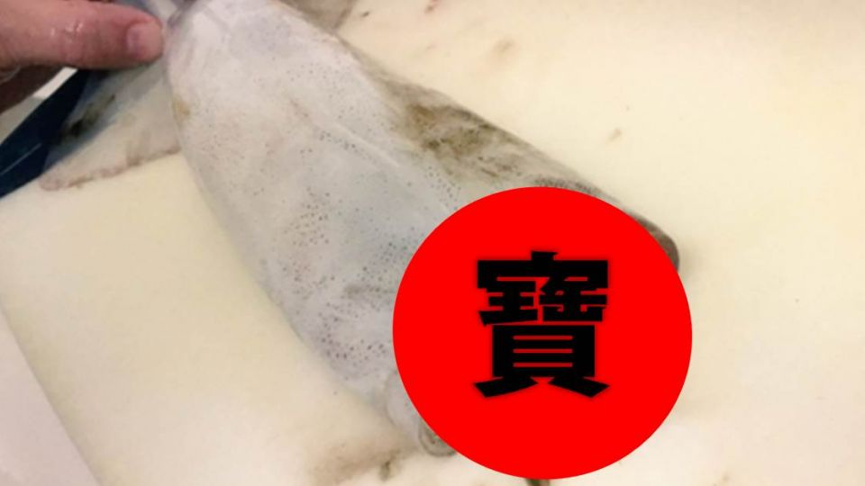 墨魚肚中驚見寶 網友:買到賺到