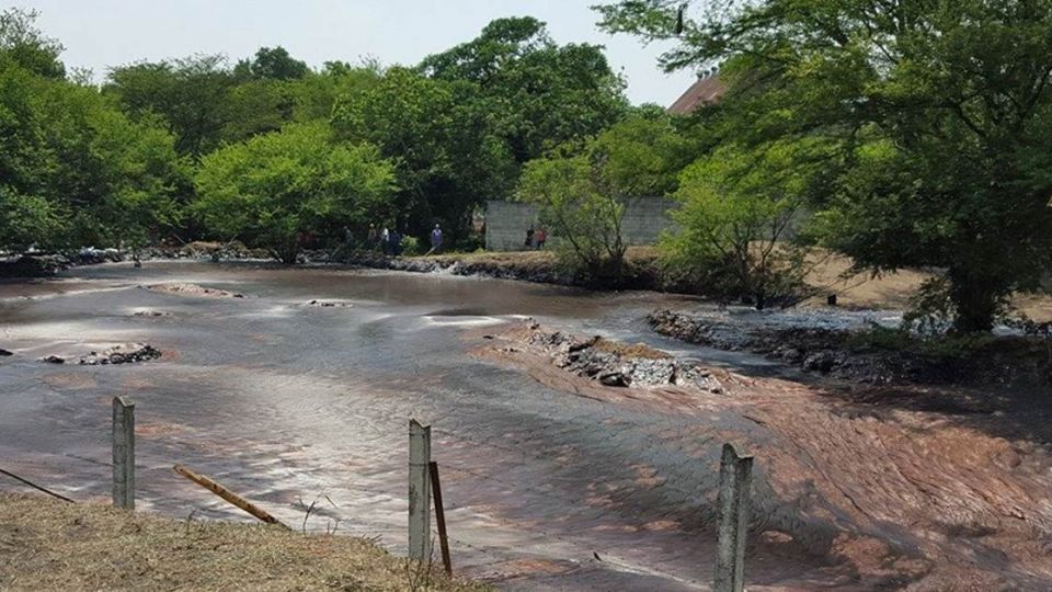 【影片】生態浩劫!340萬公升糖蜜外洩 魚兒甜蜜到「升天」