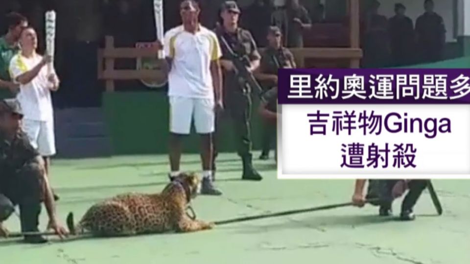 里約奧運吉祥物Ginga 慘遭射殺死亡