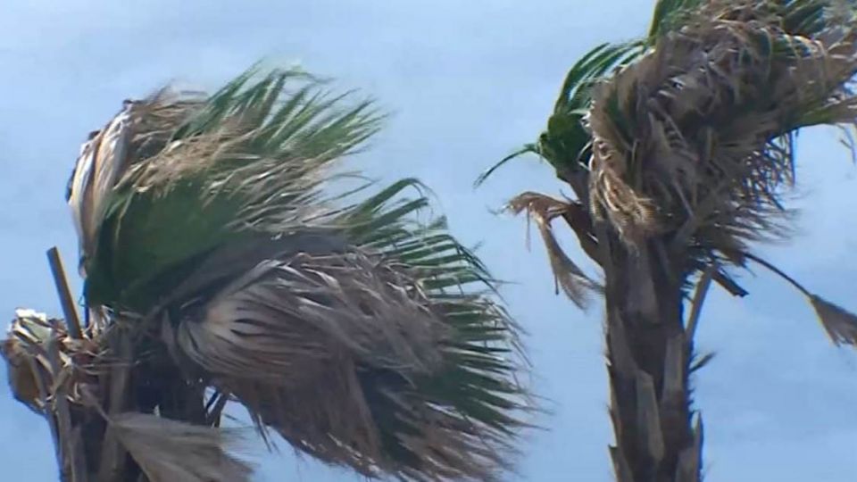 尼伯特「橫掃台灣」！14區域飆10級風 逼「停班課」標準