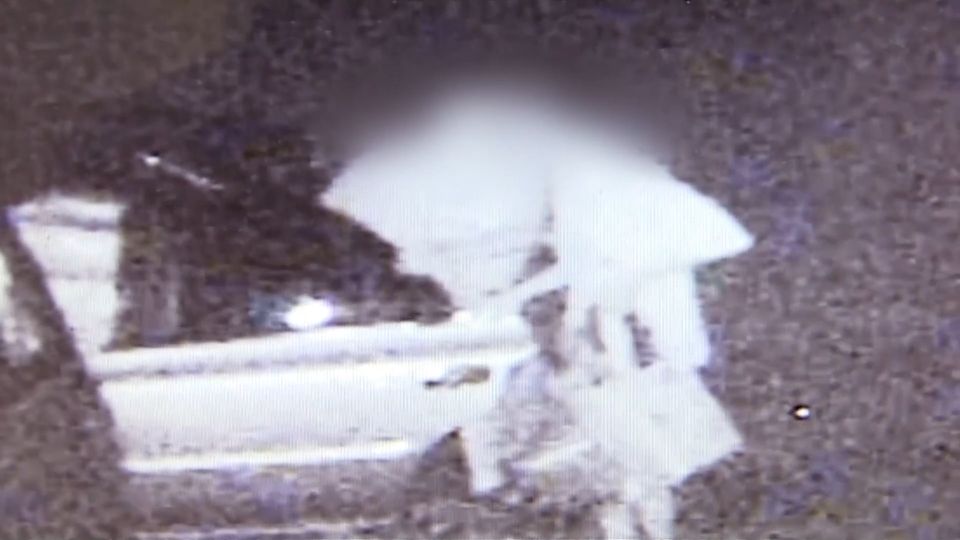 搭霸王車吃霸王餐 姊弟全台走透透