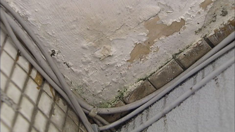 不怕強颱豪雨襲 DIY防漏水百元搞定