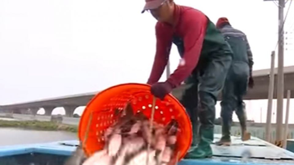 虱目魚的眼淚──被謊言、算計與顢頇之海包圍的台灣漁民