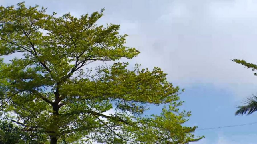 明中午過後要變天！鋒面大軍報到 天氣轉涼會下雨