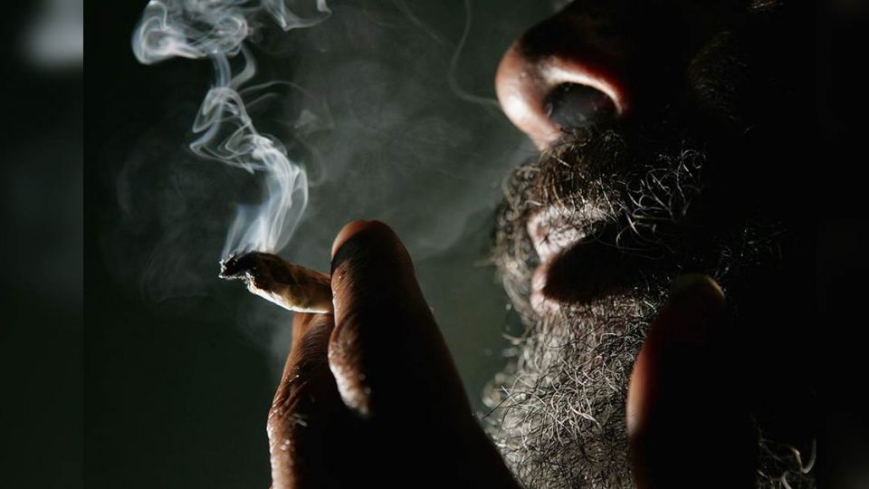 【端傳媒】美國四州通過「娛樂用大麻」合法化，料加州2020年將成全球最大大麻市場