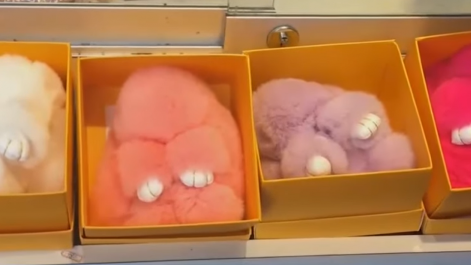 「裝死兔」用真兔毛製成 蔡依林：別買了！