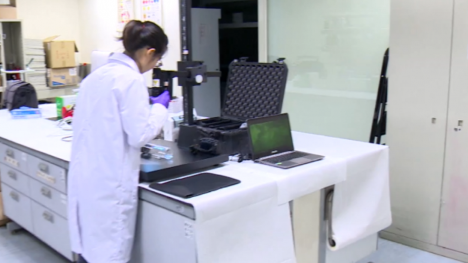 指紋、鞋印、DNA三大跡證 數位整合揪惡賊