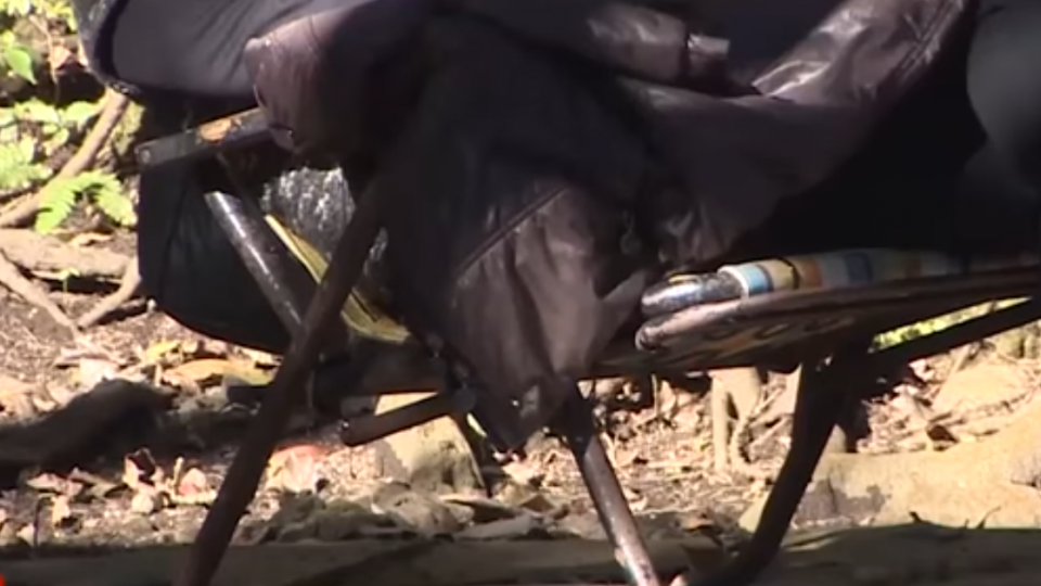 直擊！ 陽明山公園也淪陷 躺椅族抓不怕