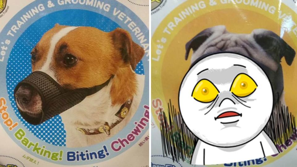 貼心日廠推各種「防咬面罩」 巴哥犬：眼前的黑不是黑…