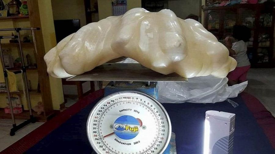 不識貨！漁夫把珍珠當幸運石 竟放床底10年生灰塵