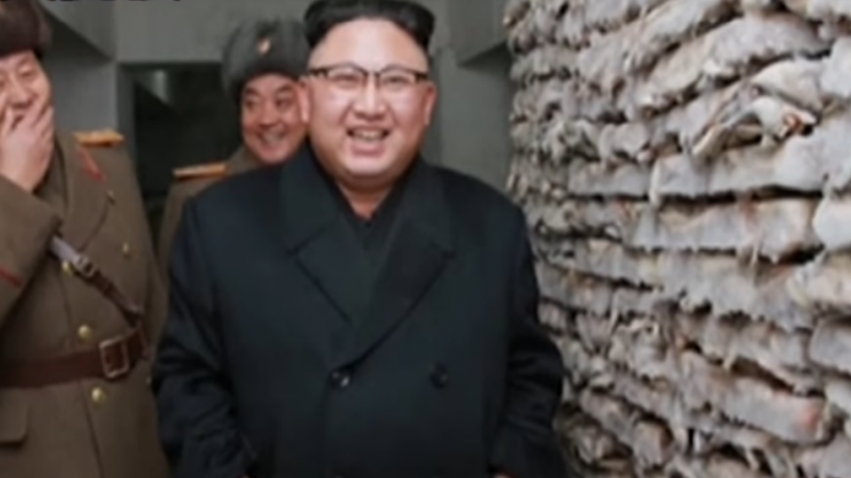 金正男案被逮北韓男 證據不足將獲釋