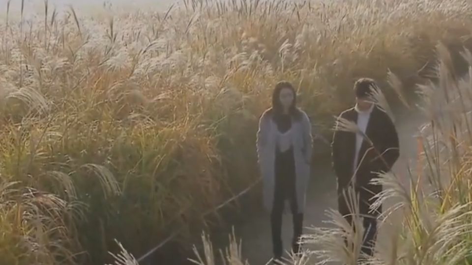 韓劇「相愛相殺」橋段 觀眾喊過癮收視保證