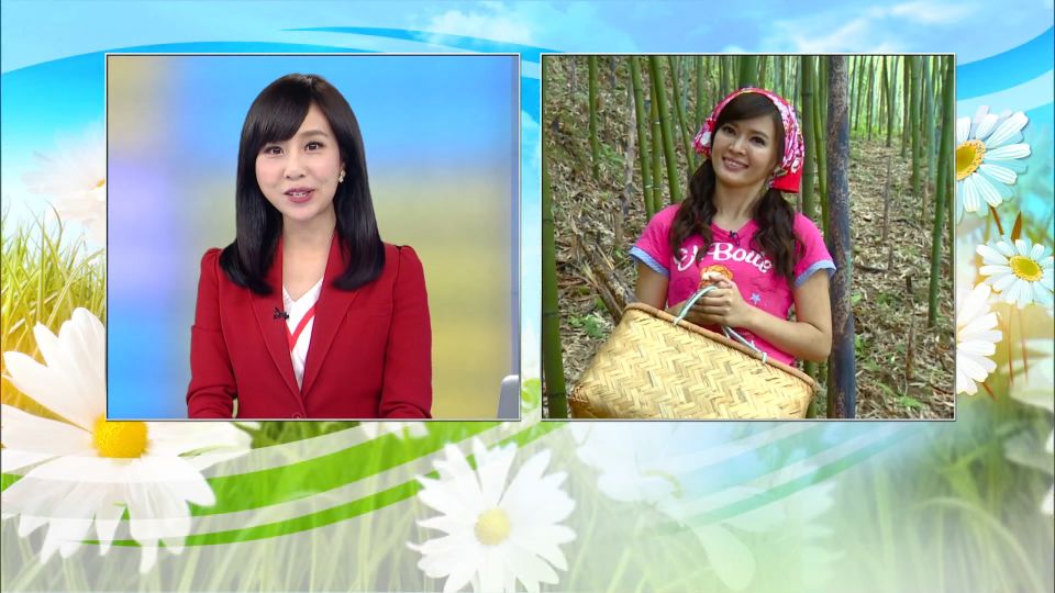 【2017/05/05】置身竹林間 體驗採收趣 淑麗帶大家採筍去