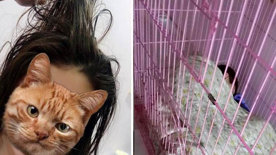 被抱怨14天沒洗頭！女友神反擊 網笑倒：解脫了