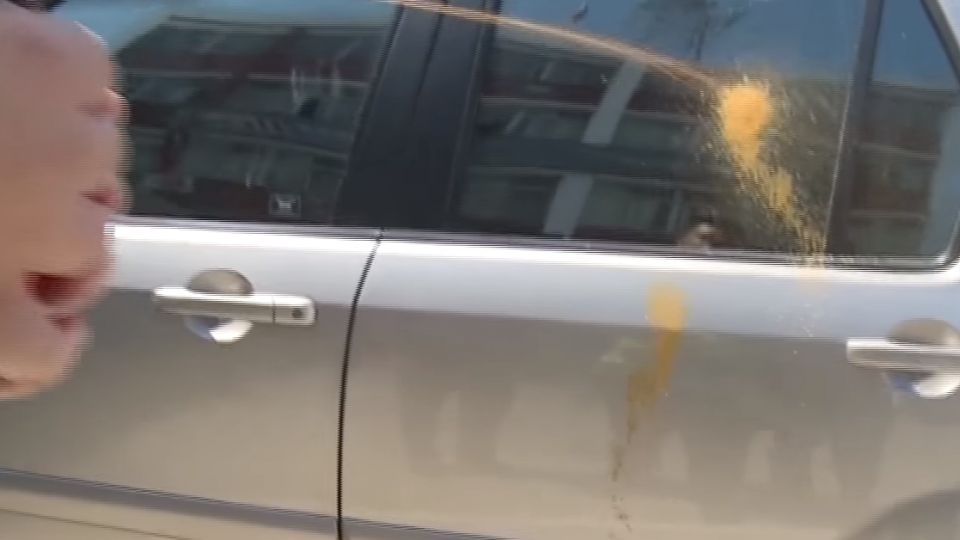 少年攜毒品遭攔查欲脫逃 警噴辣椒水制伏