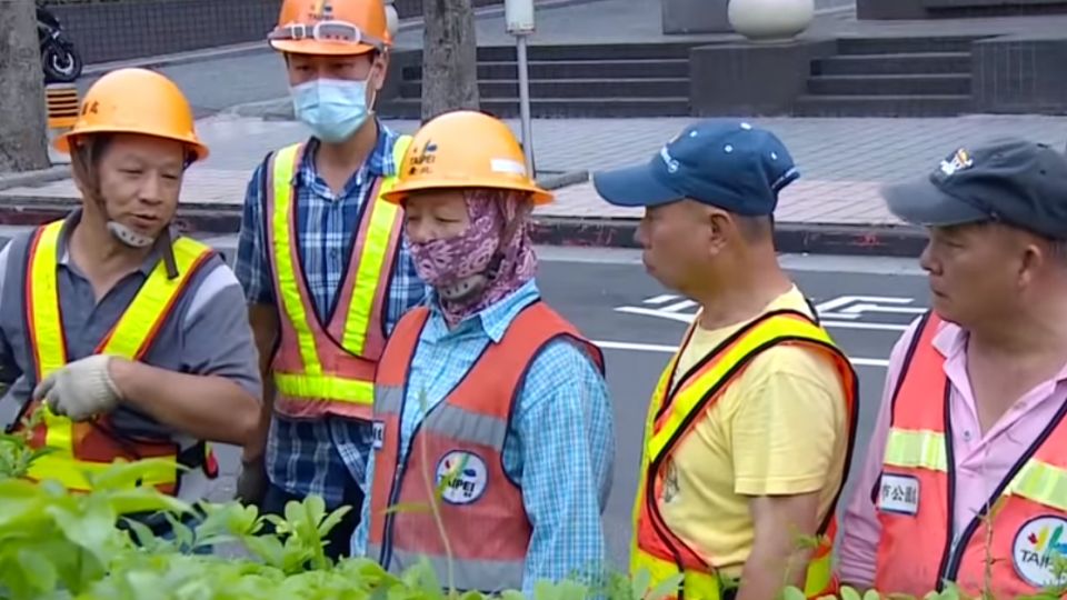 「分隔島」無名英雄！ 徒手拔草蹲整天