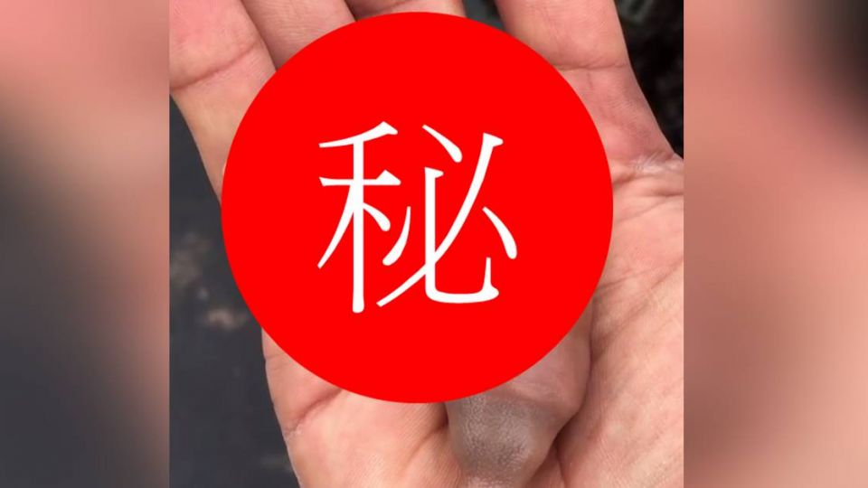 千頌伊最愛吃！網瘋傳蠕動「神秘生物」長相害網友歪樓