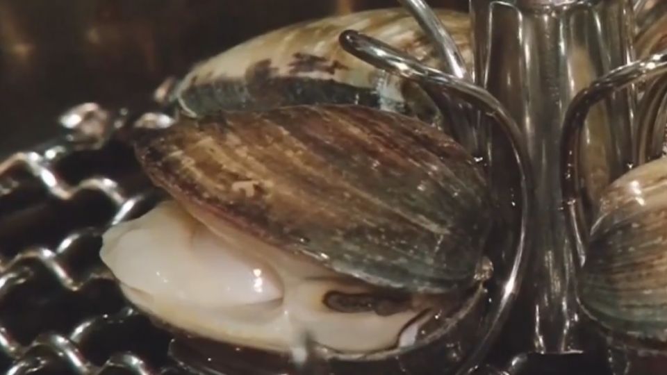 浩劫！ 雲林台西文蛤暴斃 產量剩不到一成