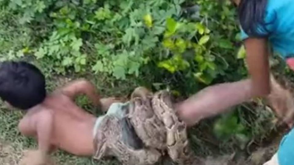 悚！ 巨蟒纏繞半個身體 幼童「以身為餌」討生活