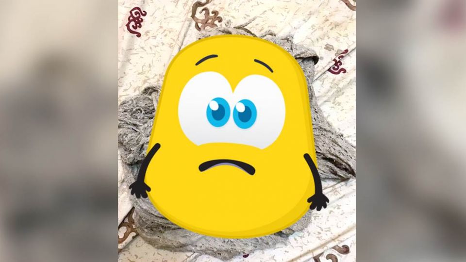 妹妹的「小被被」超狂…網友嚇傻:阿祖的裹腳布?