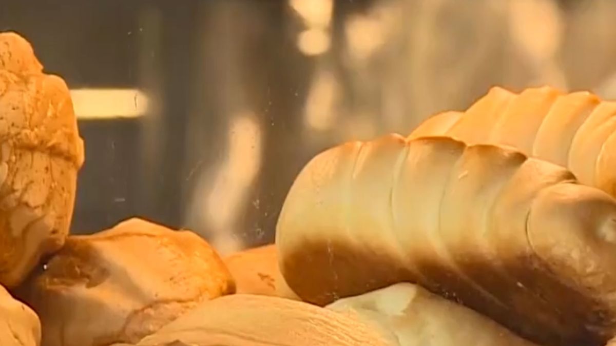 2018新制多 手搖杯、麵包限用塑膠袋