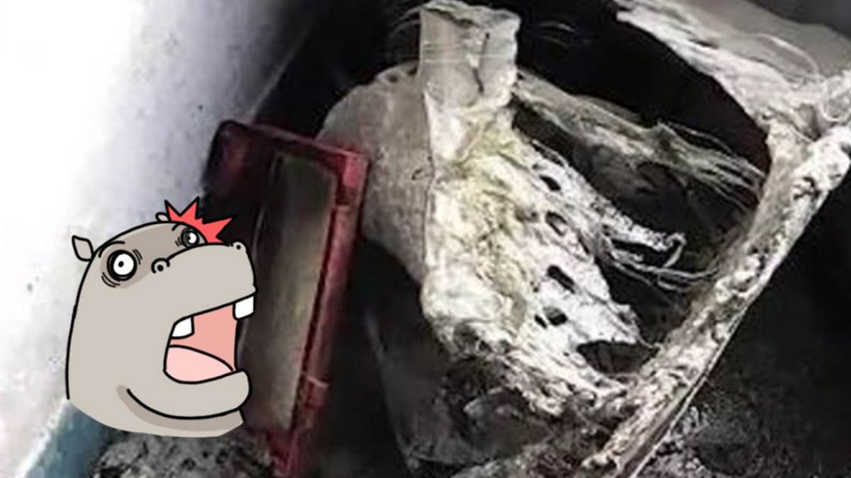 羽絨外套洗一半…洗衣機爆炸解體!玻璃噴飛滿地殘骸