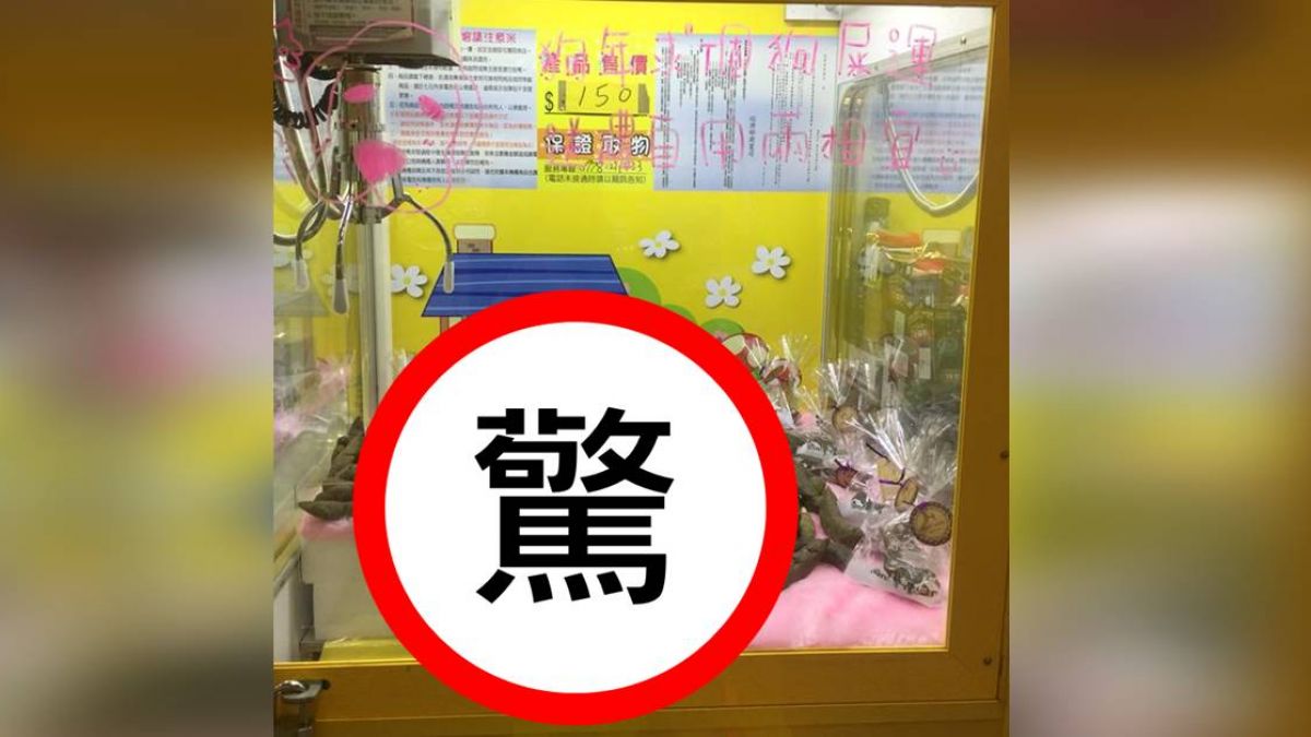 狗年求狗屎運!夾娃娃機「米田共」超逼真 網嚇傻:隔著螢幕都聞到