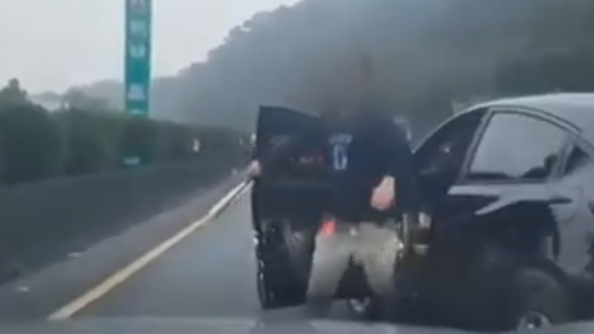 國道攔車理論 持棒男遇彪形漢瞬間龜縮