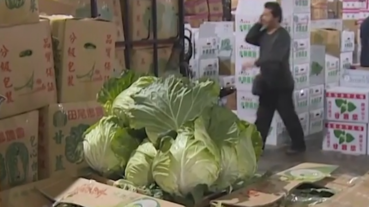 菜農苦！北農年後開市3天休3天 菜量暴增價跌