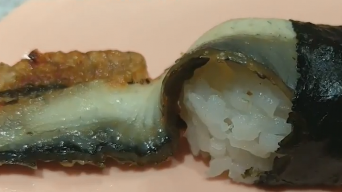 全球鰻苗缺 平價迴轉壽司「暫停供應」星鰻
