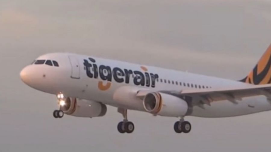 快訊／麻疹群聚感染擴大！空姐染病連3天飛日本、澳門