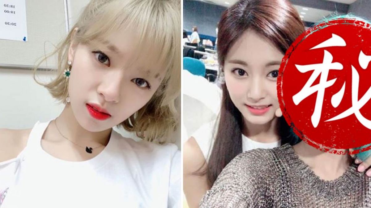 超突破！TWICE定延頂藍綠髮 「無眉」大素顏現身