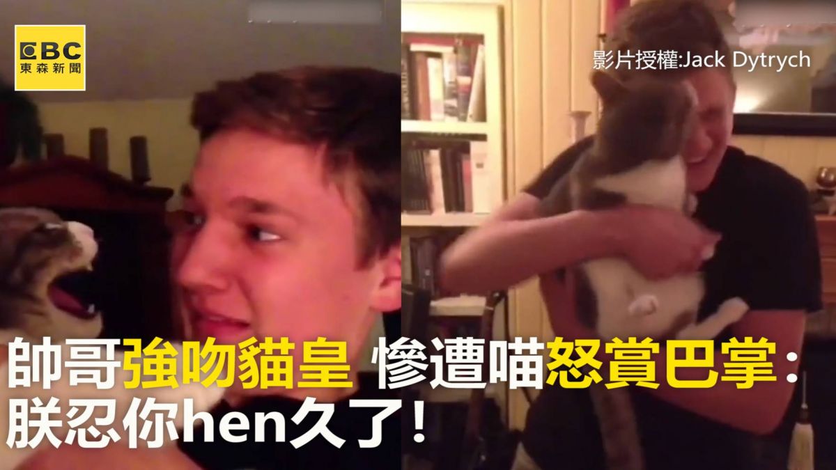 帥哥強吻貓皇 慘遭喵怒賞巴掌：朕忍你hen久了！