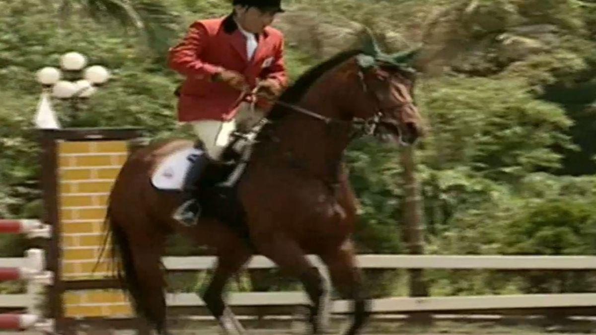 影視大亨許安進遭控打人！封殺馬場選手 阻對方參賽