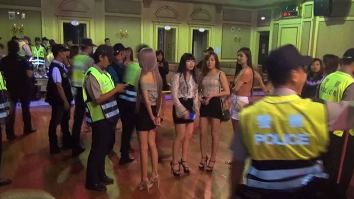 警察臨檢！舞廳60小姐排排站…美腿如林 緝毒犬聞香也暈了