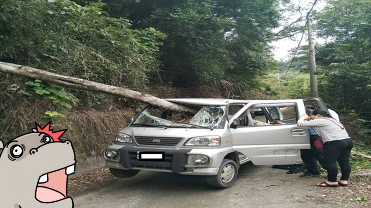 離奇車禍！ 水庫夜釣遇樹塌 「枯木插車」駕駛不治身亡