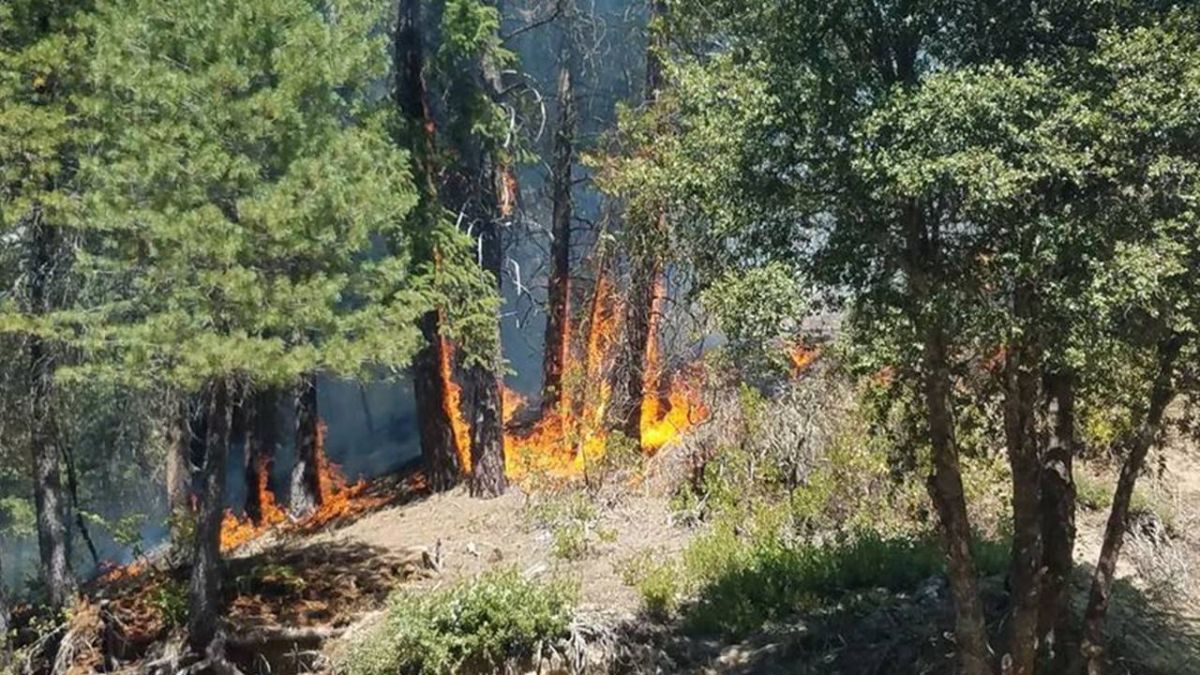 門多西諾複合大火續燒 面積相當於洛杉磯市
