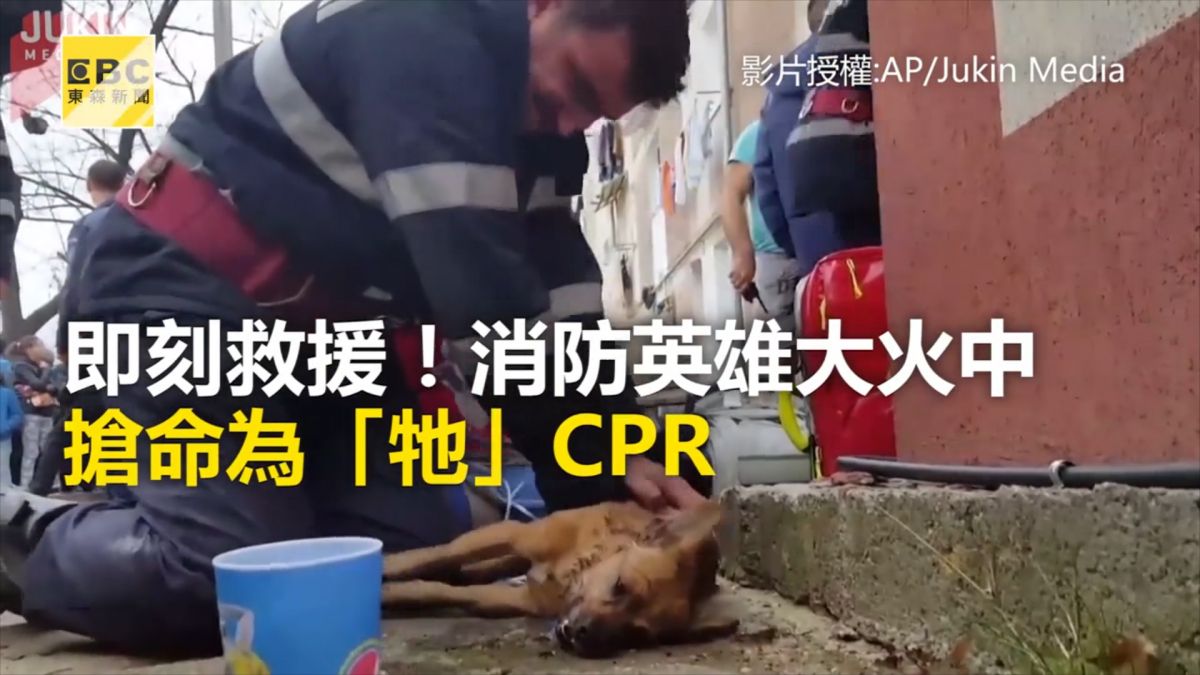 消防英雄大火中搶命 為「牠」CPR 感動千萬網友