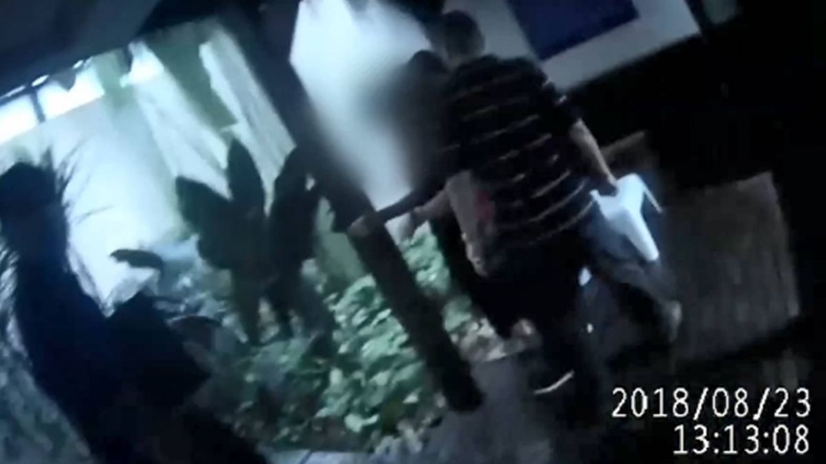 「把我當背景就好」 毒蟲摩鐵佯裝樹葉 警識破