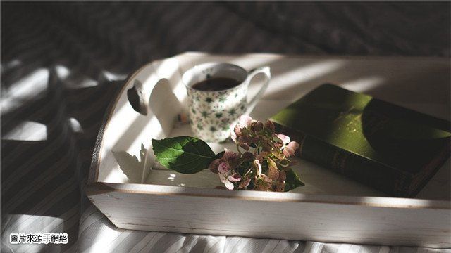 被冷落了,你就很難再見到的星座
