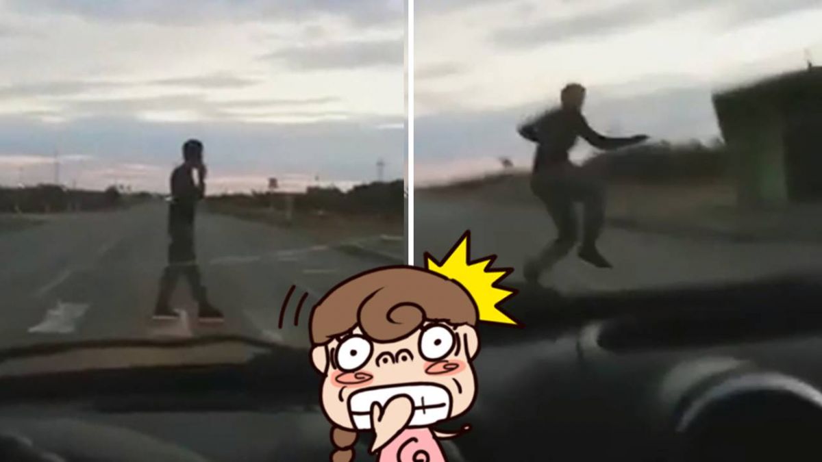 【影】三寶低頭過馬路遭「機關槍掃射」…心臟嚇停1秒!真相好療癒